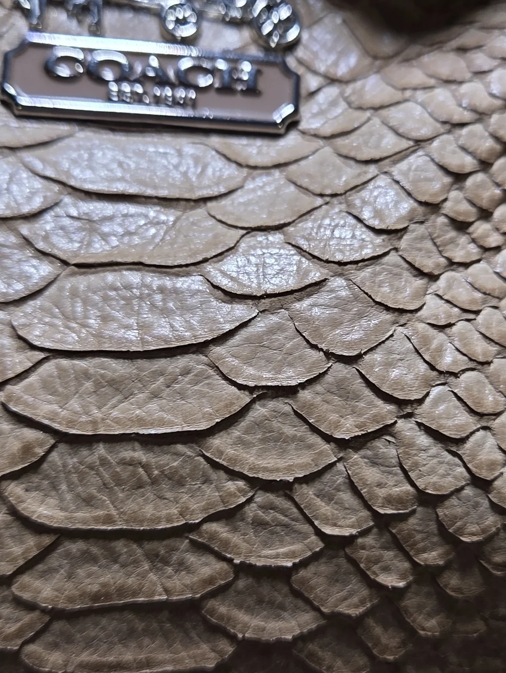 Coach Luxe Python Snakeskin Embossed Leather Maggie Madison Hobo Bag NEW • Rare - Picture 12 of 16